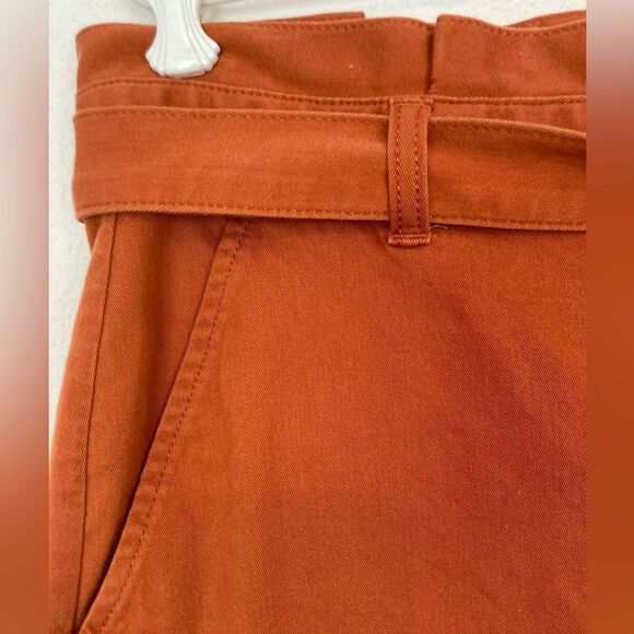 Banana Republic Barrel pants w/ tie in pumpkin spice - Picture 4 of 11